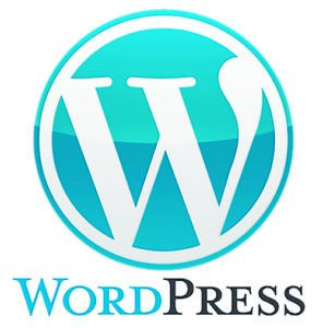 spécialiste CMS WordPress