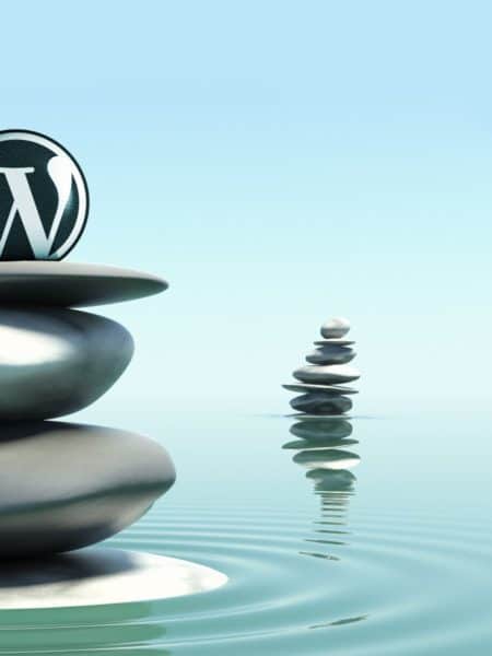 specialiste-cms-wordpress