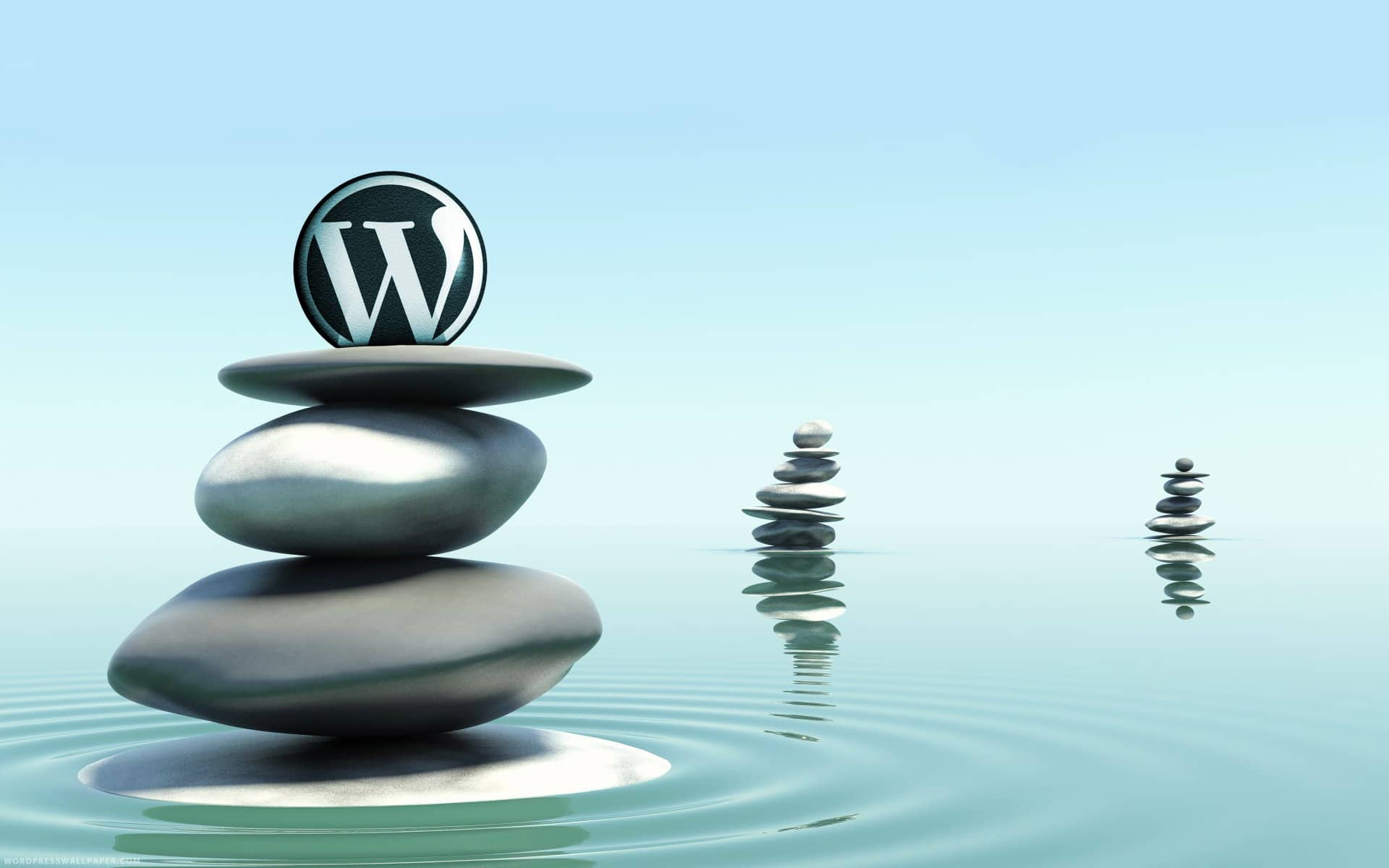 specialiste-cms-wordpress